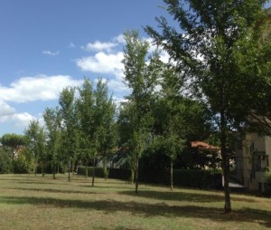 San Zanobi, Florence, September 2013